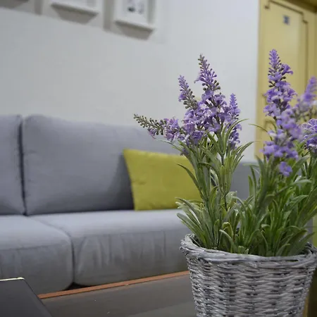 ゲストハウス Residencial Centro Comercial Avenida Bragashopping ブラガ